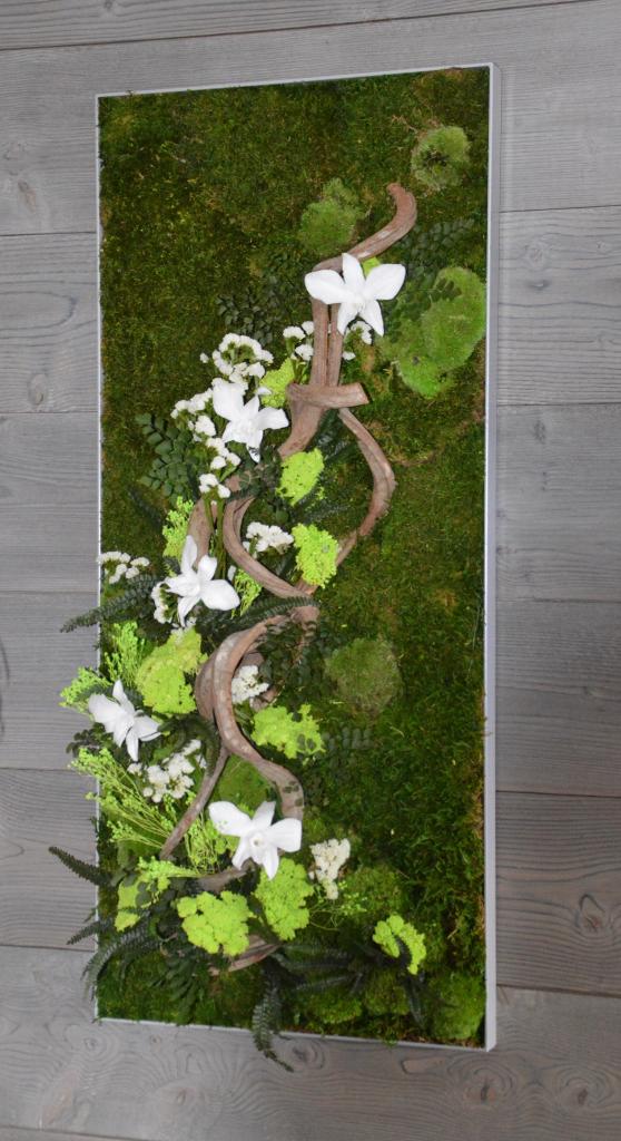 tableau végétal stabilisé avec des orchidées blanches